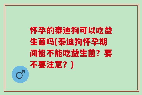 怀孕的泰迪狗可以吃益生菌吗(泰迪狗怀孕期间能不能吃益生菌?要不要注意?) 怀孕的泰迪狗可以吃益生菌吗(泰迪狗怀孕期间能不能吃益生菌?要不要注意?)