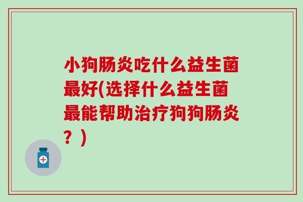 小狗吃什么益生菌好(选择什么益生菌能帮助狗狗？)