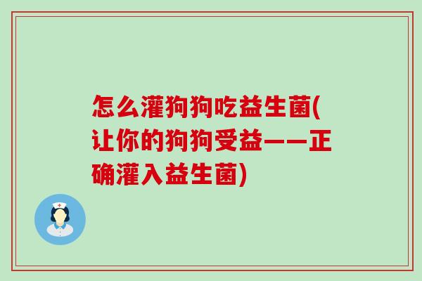 怎么灌狗狗吃益生菌(让你的狗狗受益——正确灌入益生菌)