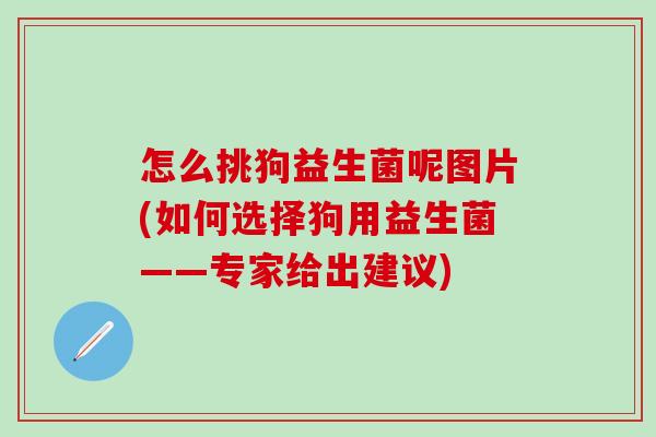 怎么挑狗益生菌呢图片(如何选择狗用益生菌——专家给出建议)
