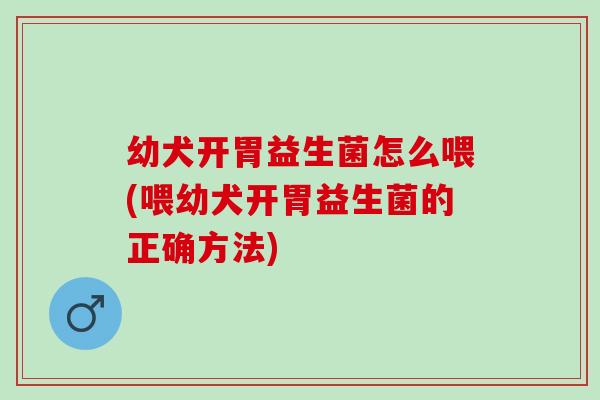 幼犬开胃益生菌怎么喂(喂幼犬开胃益生菌的正确方法)