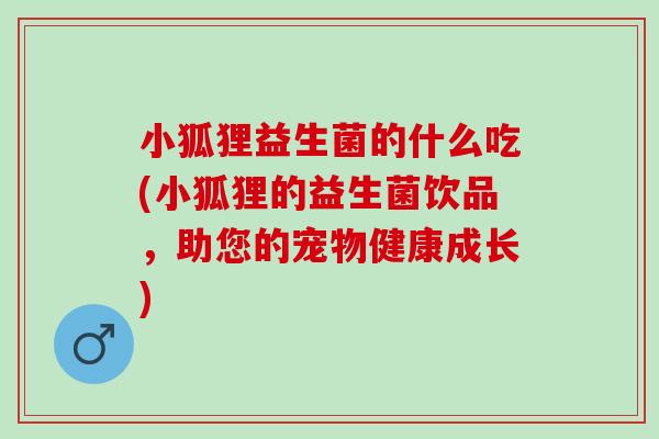小狐狸益生菌的什么吃(小狐狸的益生菌饮品，助您的宠物健康成长)