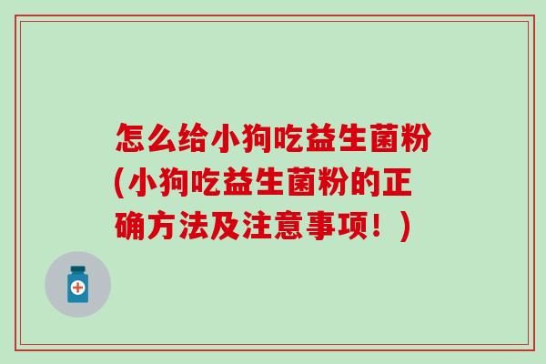 怎么给小狗吃益生菌粉(小狗吃益生菌粉的正确方法及注意事项！)