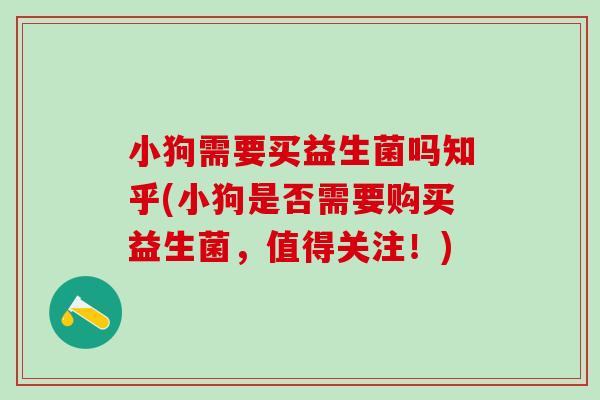 小狗需要买益生菌吗知乎(小狗是否需要购买益生菌，值得关注！)