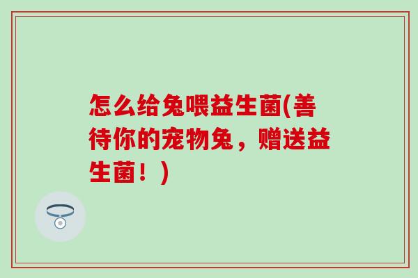怎么给兔喂益生菌(善待你的宠物兔，赠送益生菌！)