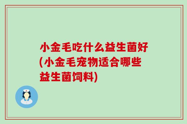 小金毛吃什么益生菌好(小金毛宠物适合哪些益生菌饲料)