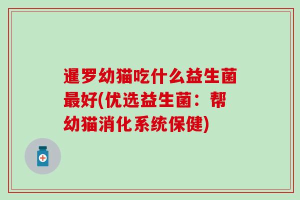 暹罗幼猫吃什么益生菌好(优选益生菌：帮幼猫消化系统保健)