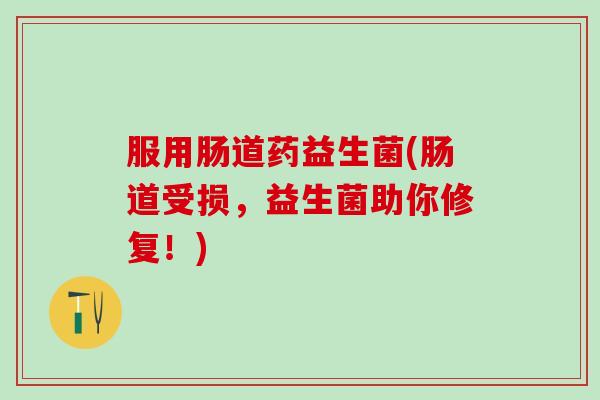 服用肠道药益生菌(肠道受损，益生菌助你修复！)
