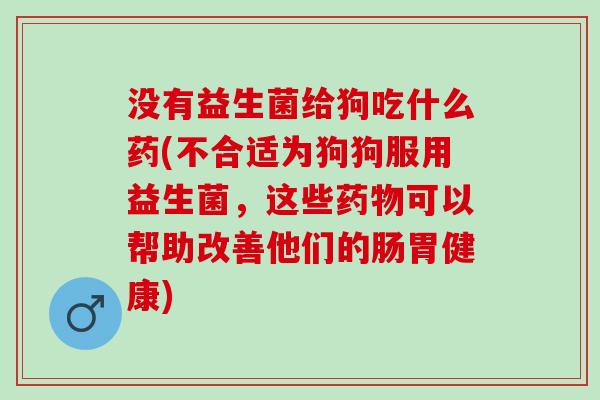没有益生菌给狗吃什么药(不合适为狗狗服用益生菌，这些可以帮助改善他们的肠胃健康)