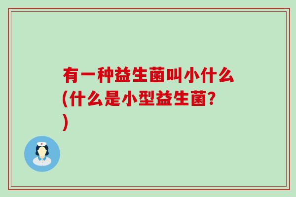 有一种益生菌叫小什么(什么是小型益生菌？)
