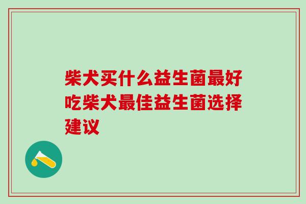 柴犬买什么益生菌好吃柴犬佳益生菌选择建议