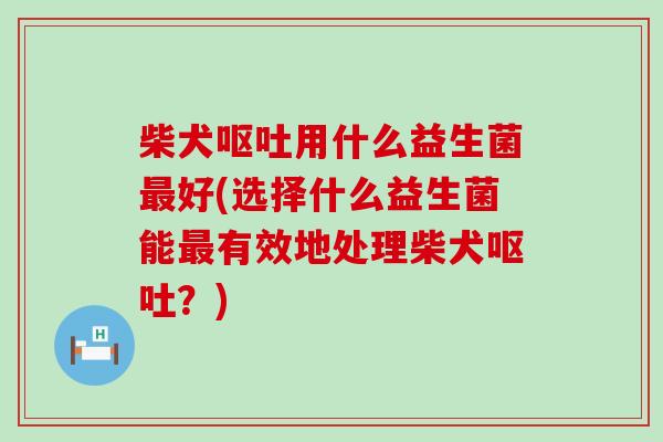柴犬用什么益生菌好(选择什么益生菌能有效地处理柴犬?) 柴犬用什么益生菌好(选择什么益生菌能有效地处理柴犬?)