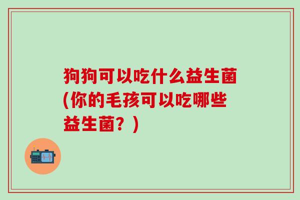 狗狗可以吃什么益生菌(你的毛孩可以吃哪些益生菌？)