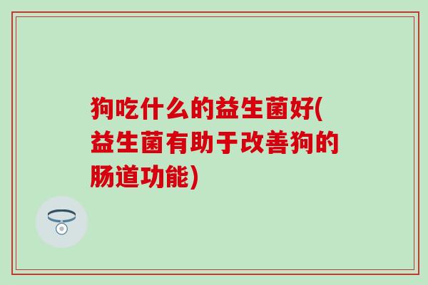 狗吃什么的益生菌好(益生菌有助于改善狗的肠道功能)