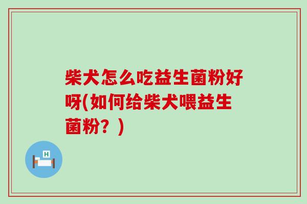 柴犬怎么吃益生菌粉好呀(如何给柴犬喂益生菌粉？)