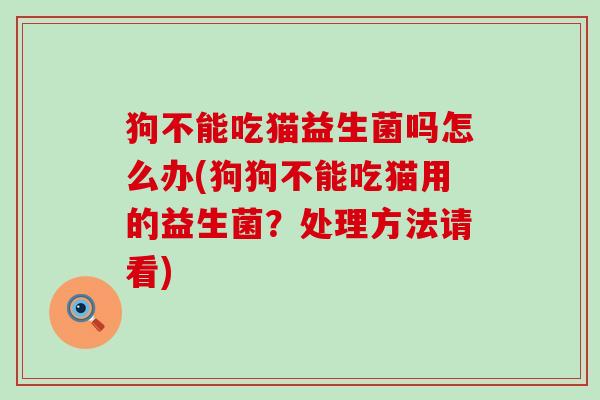 狗不能吃猫益生菌吗怎么办(狗狗不能吃猫用的益生菌？处理方法请看)