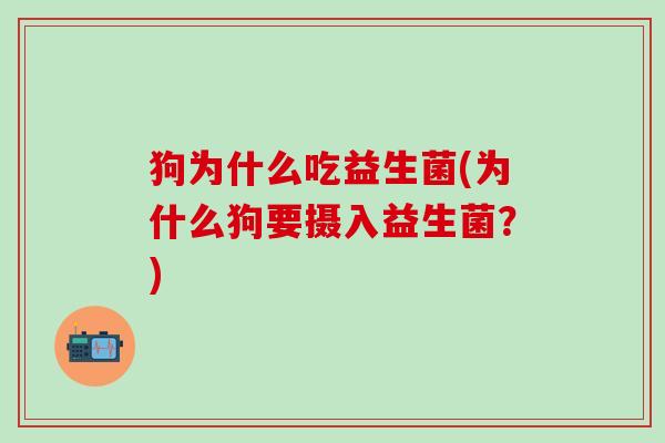 狗为什么吃益生菌(为什么狗要摄入益生菌？)
