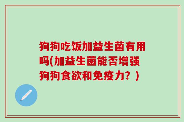 狗狗吃饭加益生菌有用吗(加益生菌能否增强狗狗和力？)