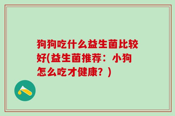 狗狗吃什么益生菌比较好(益生菌推荐：小狗怎么吃才健康？)