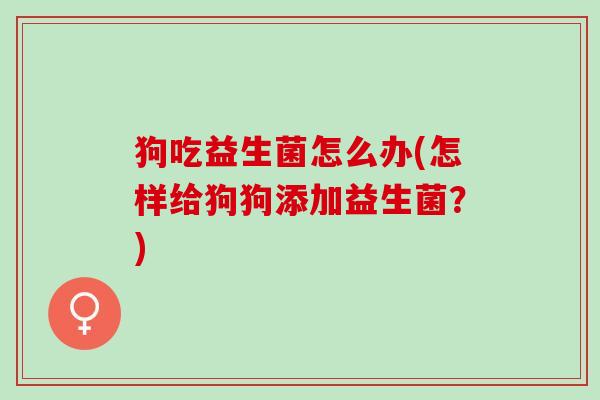 狗吃益生菌怎么办(怎样给狗狗添加益生菌？)