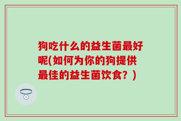 狗吃什么的益生菌好呢(如何为你的狗提供佳的益生菌饮食？)