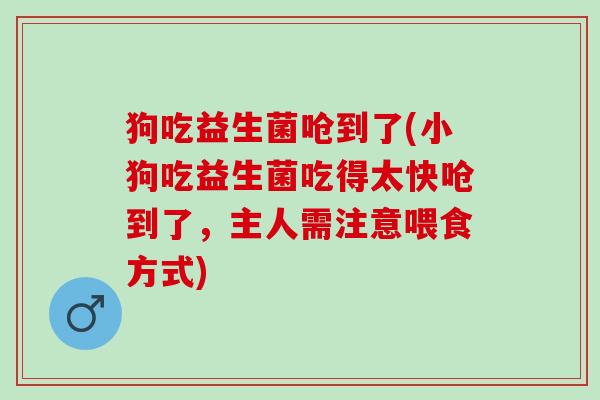 狗吃益生菌呛到了(小狗吃益生菌吃得太快呛到了，主人需注意喂食方式)