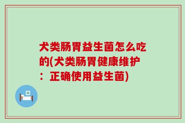 犬类肠胃益生菌怎么吃的(犬类肠胃健康维护：正确使用益生菌)