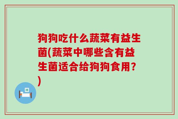 狗狗吃什么蔬菜有益生菌(蔬菜中哪些含有益生菌适合给狗狗食用？)