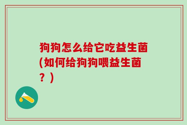 狗狗怎么给它吃益生菌(如何给狗狗喂益生菌？)