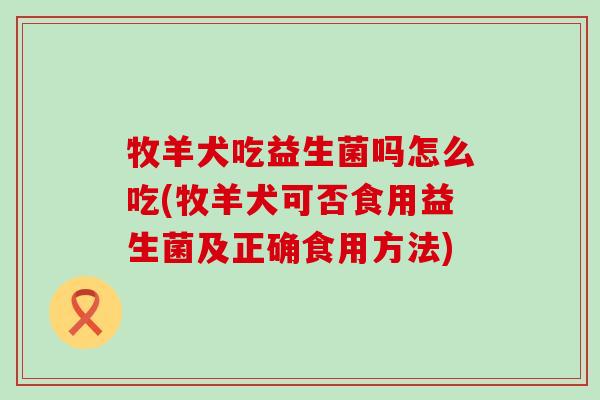 牧羊犬吃益生菌吗怎么吃(牧羊犬可否食用益生菌及正确食用方法)