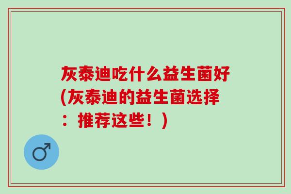 灰泰迪吃什么益生菌好(灰泰迪的益生菌选择：推荐这些！)