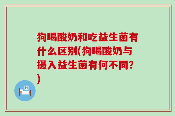 狗喝酸奶和吃益生菌有什么区别(狗喝酸奶与摄入益生菌有何不同？)