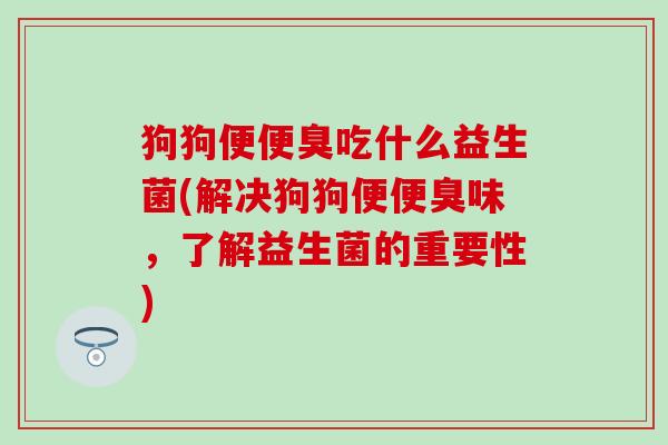 狗狗便便臭吃什么益生菌(解决狗狗便便臭味，了解益生菌的重要性)