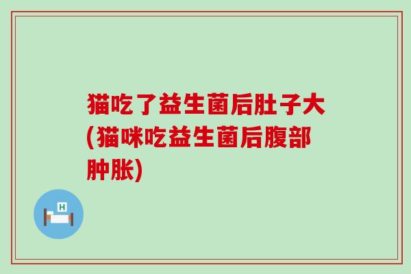 猫吃了益生菌后肚子大(猫咪吃益生菌后腹部)