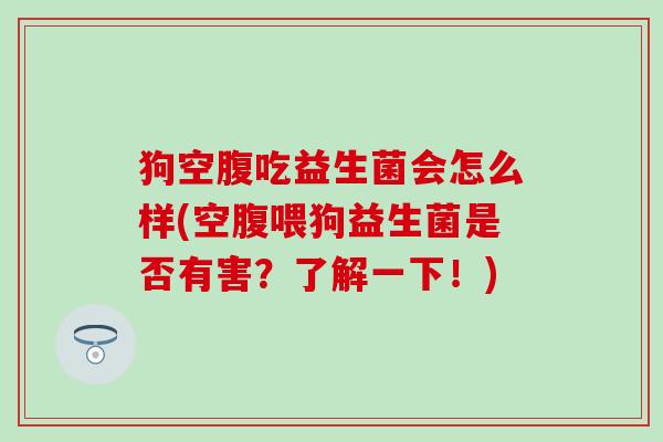 狗空腹吃益生菌会怎么样(空腹喂狗益生菌是否有害？了解一下！)