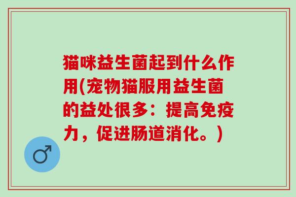 猫咪益生菌起到什么作用(宠物猫服用益生菌的益处很多：提高力，促进肠道消化。)