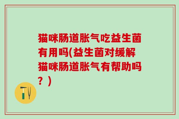 猫咪肠道吃益生菌有用吗(益生菌对缓解猫咪肠道有帮助吗？)