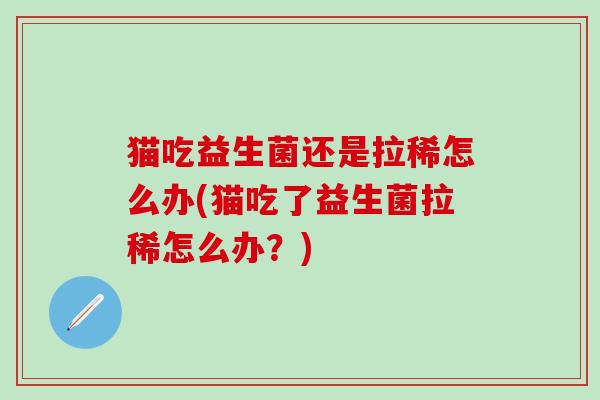 猫吃益生菌还是拉稀怎么办(猫吃了益生菌拉稀怎么办？)