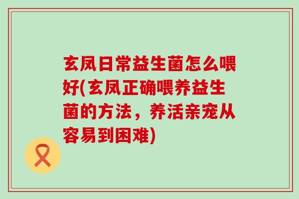 玄凤日常益生菌怎么喂好(玄凤正确喂养益生菌的方法，养活亲宠从容易到困难)