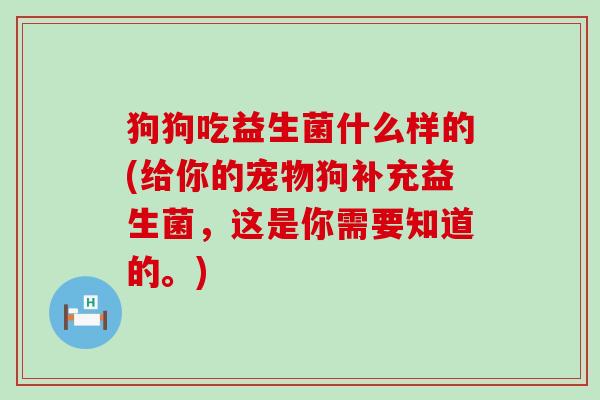 狗狗吃益生菌什么样的(给你的宠物狗补充益生菌，这是你需要知道的。)