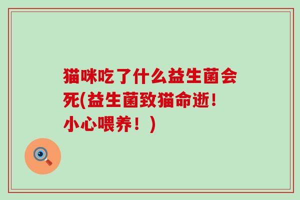 猫咪吃了什么益生菌会死(益生菌致猫命逝！小心喂养！)