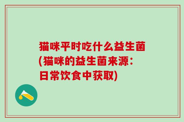 猫咪平时吃什么益生菌(猫咪的益生菌来源：日常饮食中获取)