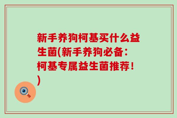 新手养狗柯基买什么益生菌(新手养狗必备：柯基专属益生菌推荐！)