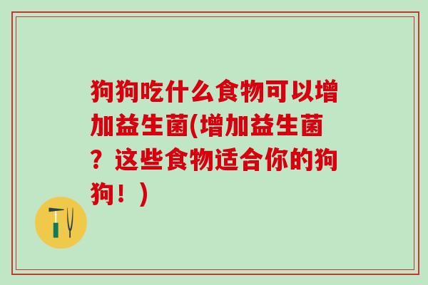狗狗吃什么食物可以增加益生菌(增加益生菌？这些食物适合你的狗狗！)