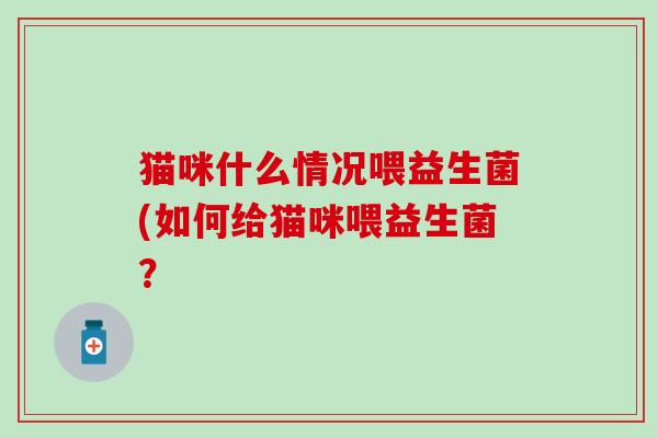 猫咪什么情况喂益生菌(如何给猫咪喂益生菌？