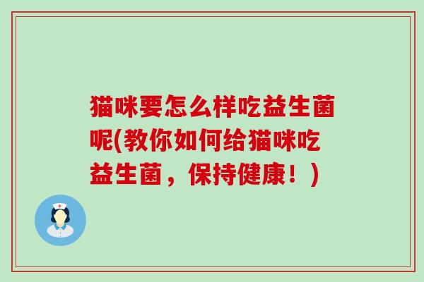 猫咪要怎么样吃益生菌呢(教你如何给猫咪吃益生菌，保持健康！)
