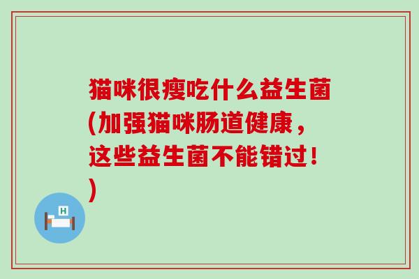 猫咪很瘦吃什么益生菌(加强猫咪肠道健康,这些益生菌不能错过!) 猫咪很瘦吃什么益生菌(加强猫咪肠道健康,这些益生菌不能错过!)
