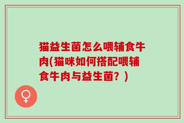 猫益生菌怎么喂辅食牛肉(猫咪如何搭配喂辅食牛肉与益生菌？)