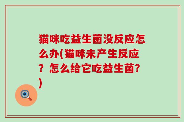 猫咪吃益生菌没反应怎么办(猫咪未产生反应？怎么给它吃益生菌？)