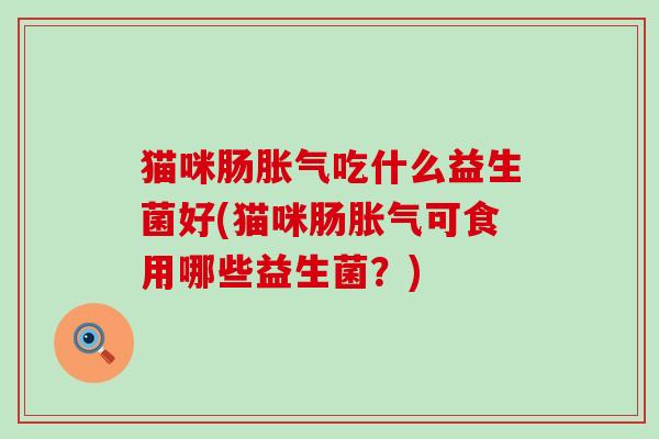 猫咪肠吃什么益生菌好(猫咪肠可食用哪些益生菌？)